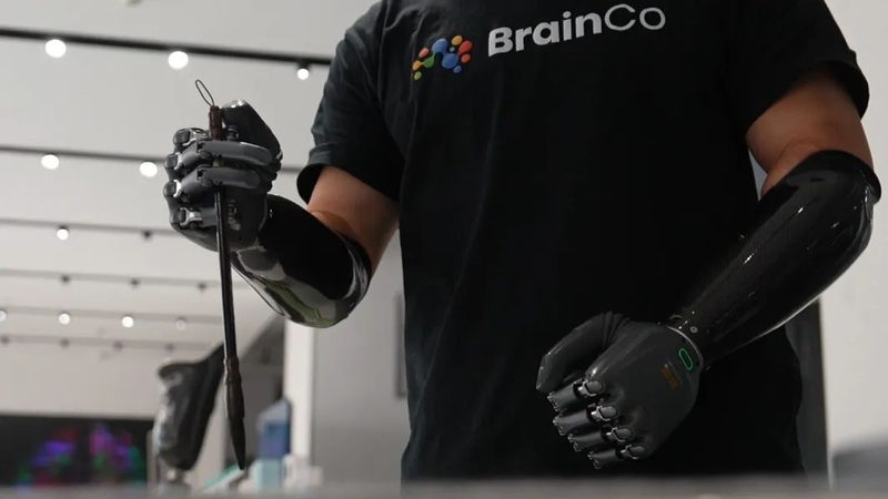 湖仓一体与云原生数据仓库：本质区别与适用场景